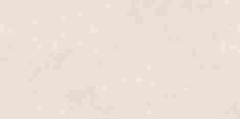 Керамогранит SandBark Слоновая Кость Матовый 60x120 фото 3