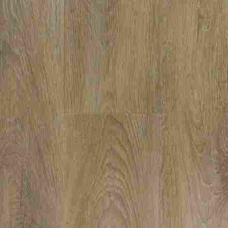  Barista 833 Дуб Кобано фото 2