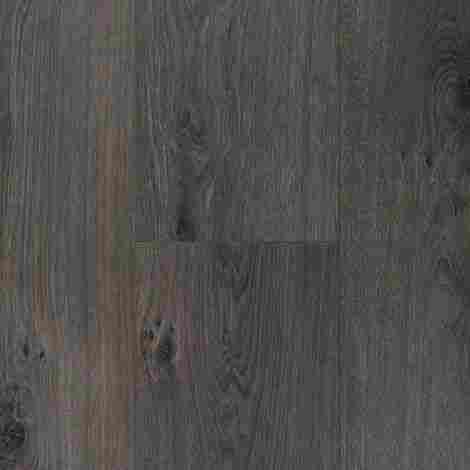 Barista 833 Дуб Робуста фото 2