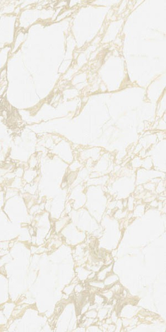 Керамогранит Pulp Gold Raw 60x120