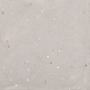 Керамогранит Moooi Nesting Room Egg Scape Concrete nat R 60x60