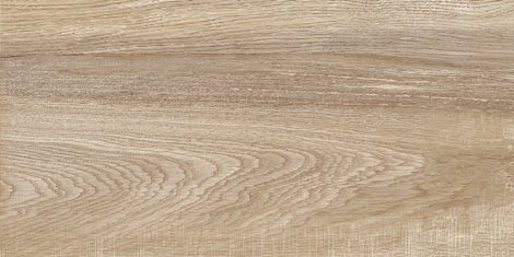Плитка Euphoria 24,9x50 TWU2550EPH40