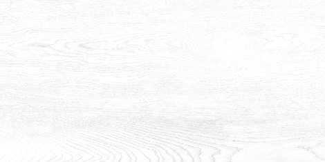 Плитка Wood 24,9x50 TWU09WOD000