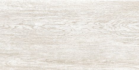 Плитка Wood 24,9x50 TWU09WOD004