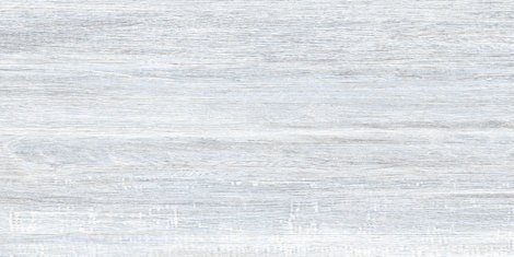 Плитка Wood 24,9x50 TWU09WOD006