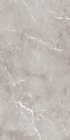 Керамогранит Epoque Grey nat rett 60x120