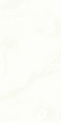 Керамогранит Aragon White Glossy 60x120 фото 1