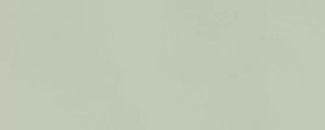 Плитка Boost Color Mint 50x120