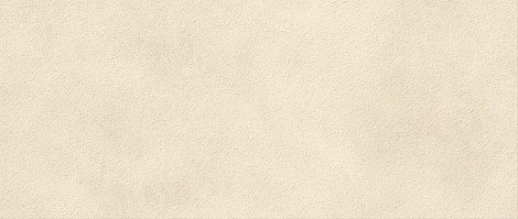 Плитка Boost Expression Grain Shell Matte 50x120 фото 1