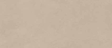 Плитка Boost Natural Ash 50x120