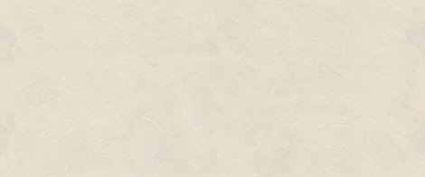 Плитка Boost Natural Pro 3D Craft Salt 50x120