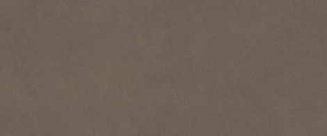 Плитка Boost Natural Pro Coffe 50x120