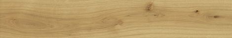 Керамогранит Exence Almond 20x120