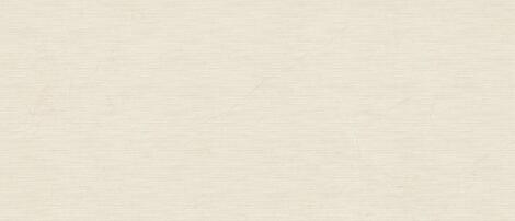 Керамогранит Marvel Next Vanilla White Wheat 120x278