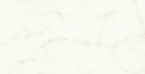 Плитка Marvel Shine Calacatta Delicato Shiny 40x80 фото 1