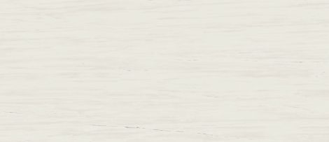 Керамогранит Marvel Stone Bianco Dolomite Lappato 120x278