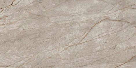 Керамогранит Empire Silver Root Matt 60x120 фото 1