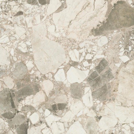 Керамогранит Forte dei Marmi Ceppo Apuano Cream Matt 80x80 фото 1