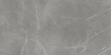 Керамогранит Forte dei Marmi Elegant Grey Cerato 60x120 фото 1