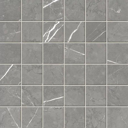 Мозаика Forte dei Marmi Elegant Grey Mosaic Lappato
