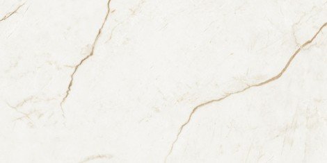 Керамогранит Forte dei Marmi Quark Sahara Blanc cerato rett 60x120 фото 1