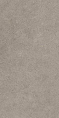 Керамогранит Forte dei Marmi Rock Lunar Grey 80x160