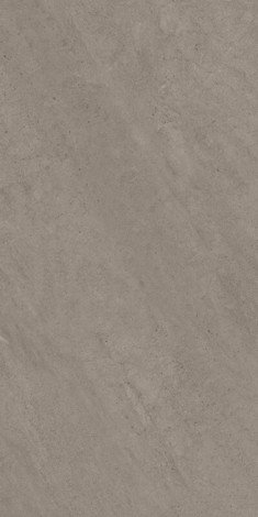 Керамогранит Forte dei Marmi Rock Venaria Grey 60x120