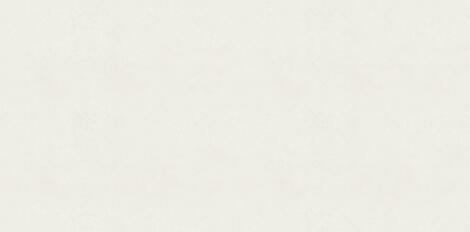 Керамогранит Vivia Crelis Off-White Lapp 120x278