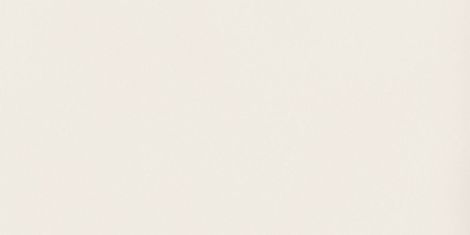 Керамогранит Absolute White Silk 12mm ST 162x324