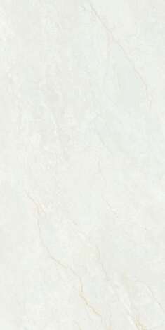 Керамогранит RC Roman 2P GV (Feather Touch) 60x120