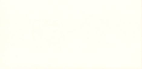 Плитка Атланта белый 12x24,5