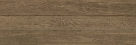 Керамогранит Forest Atlas Honey 31x93