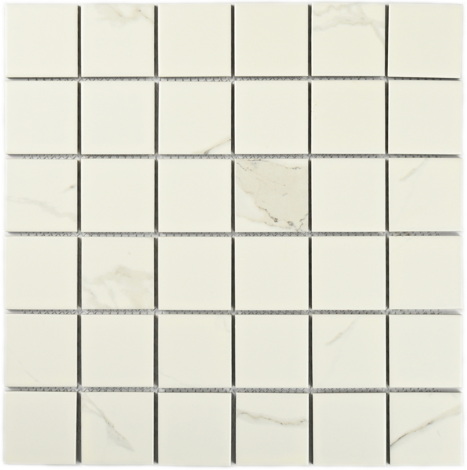 Мозаика Carrara-48/Каррара 48 4,8x4,8
