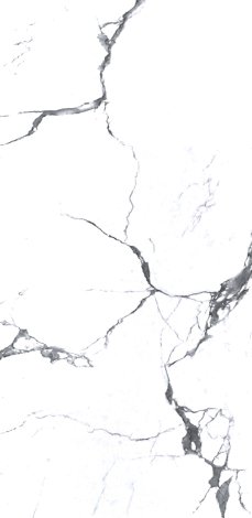 Керамогранит Marvel Statuario Mat 60x120 фото 1