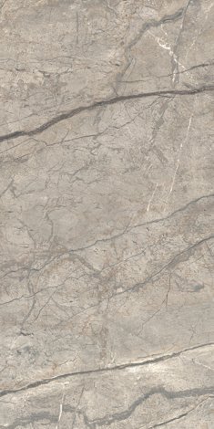 Керамогранит Anima Futura Amazing Silver Lucido 60x120 фото 1