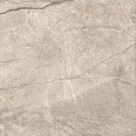 Керамогранит Anima Futura Amazing Silver Matt 120x120