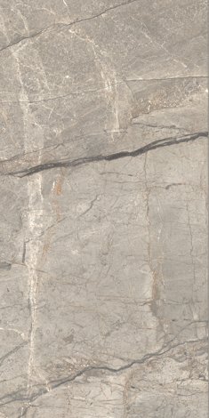 Керамогранит Anima Futura Amazing Silver Matt 60x120 фото 1