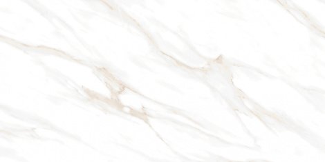Керамогранит Calacatta Clarity Gold белый Матовый 60x120 фото 1