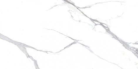 Керамогранит Calacatta Splendid Silver белый Матовый 60x120 фото 1