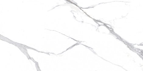 Керамогранит Calacatta Splendid Silver белый Полированный 60x120