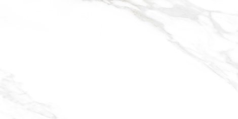 Керамогранит Carrara Excellent Silver белый Матовый 60x120