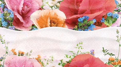 Декор Dec Aroma Decor 25x45
