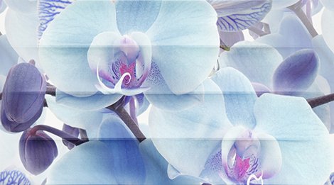 Декор Dec Vanda Panno B 25x45