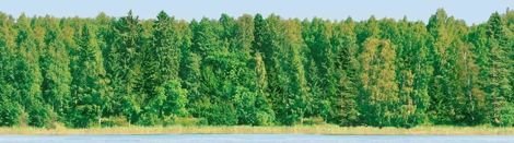 Панно Forest Panno (из 2 шт.) 25x90