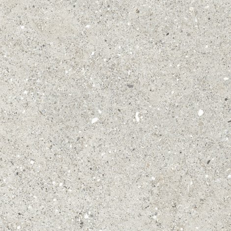 Керамогранит Granito Grigio серый матовый 59,5x59,5 фото 1