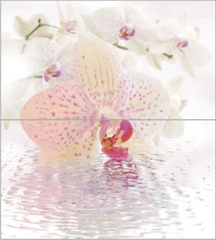 Панно Orchid Panno Декор (из 2-х шт) 45x50