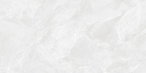 Керамогранит Regnum Bianco светло-серый матовый 59,5x119,1 фото 1