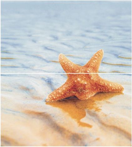 Панно Starfish 1 Panno (из 2-х шт) 45x50