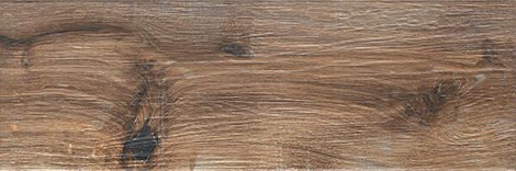 Керамогранит Alberon (Ashwood) Brown ALR 04 20x60