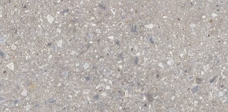 Керамогранит Ceppo Nuovo Silver Polished 119,7x279,7 фото 1